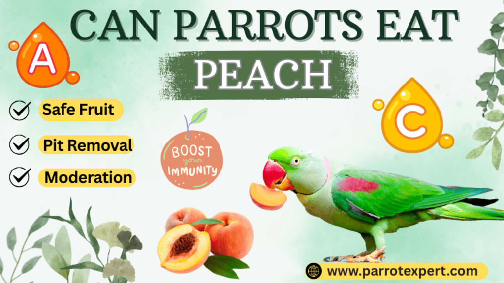 What Fruit Do Not Feed to Birds