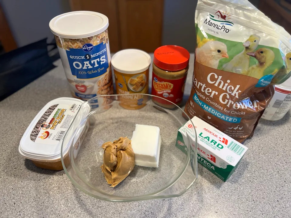 What Household Food Can You Feed Birds