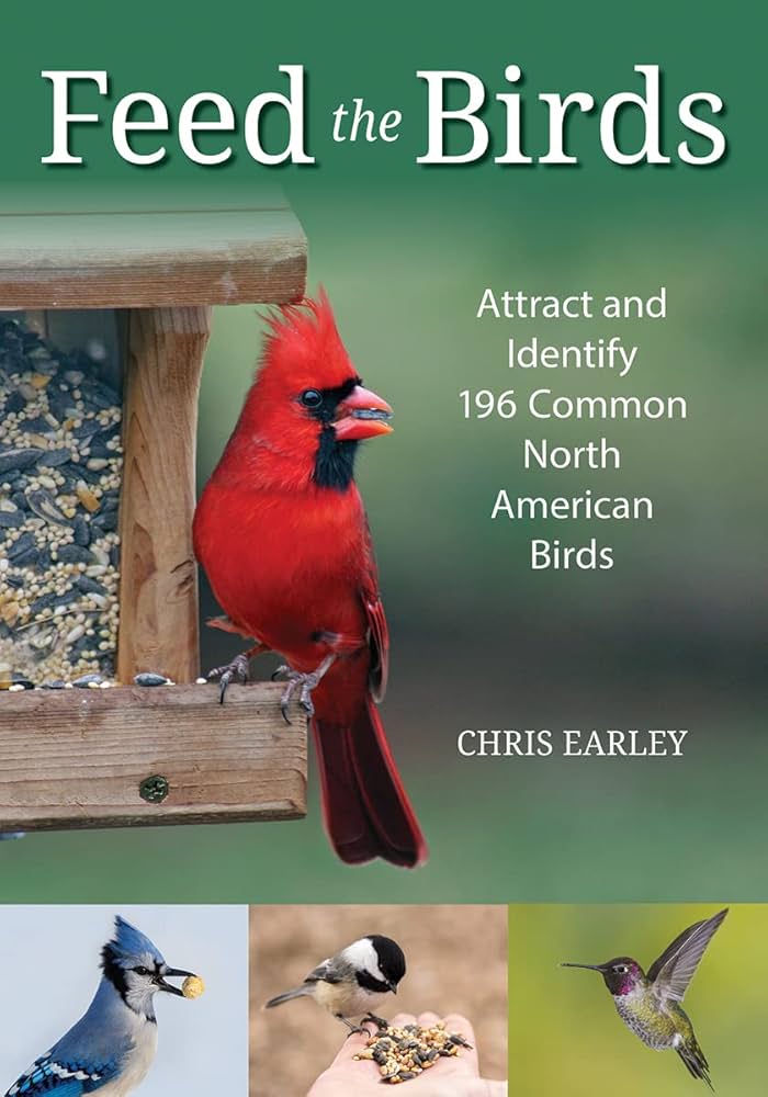 What is Feed the Birds About