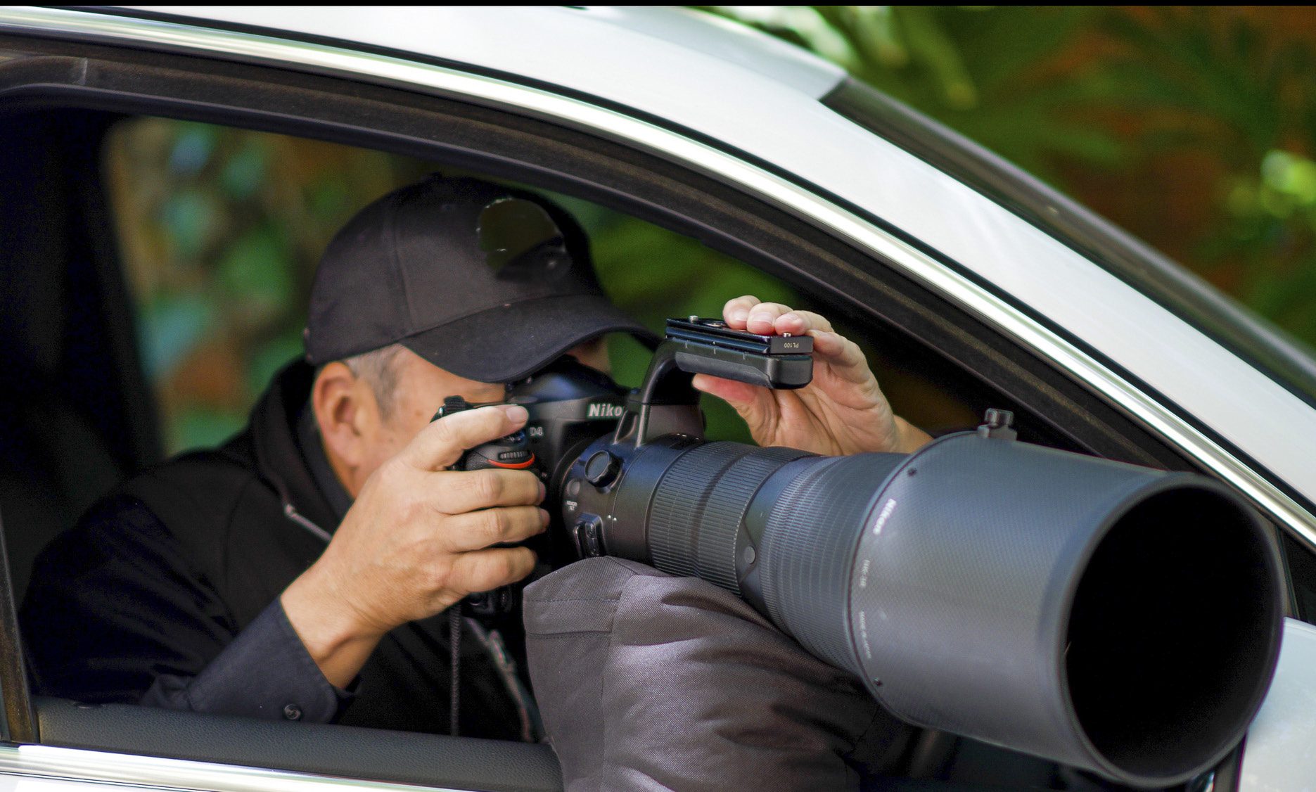 What is the Best Camera Lens for Bird Photography