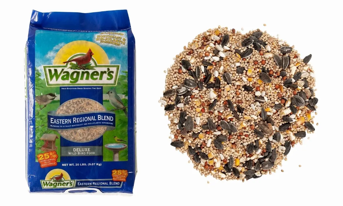 What is the Best Food to Feed Garden Birds