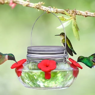 What is the Best Top Filling Humming Bird Feeder