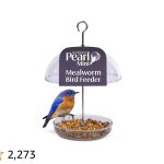 What Kind of Bird Feeder Do You Use for Mealworms