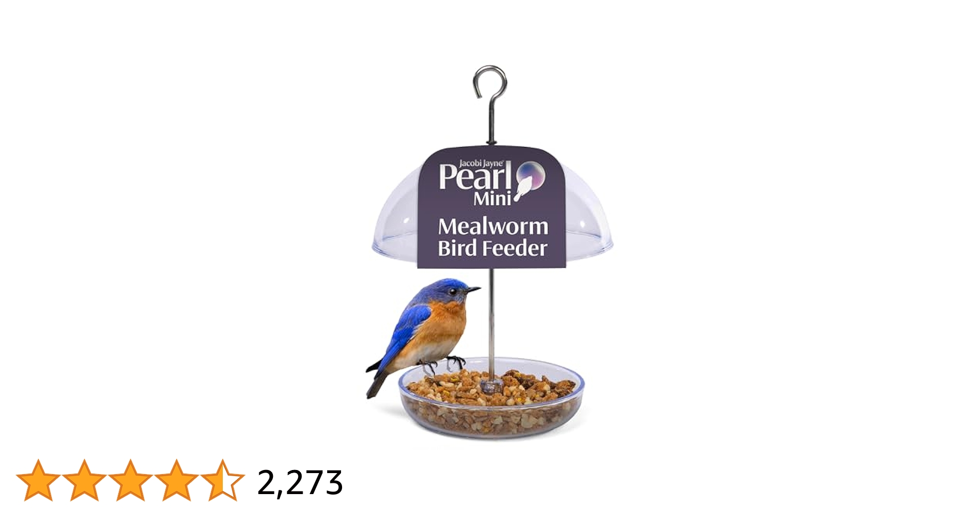 What Kind of Bird Feeder Do You Use for Mealworms