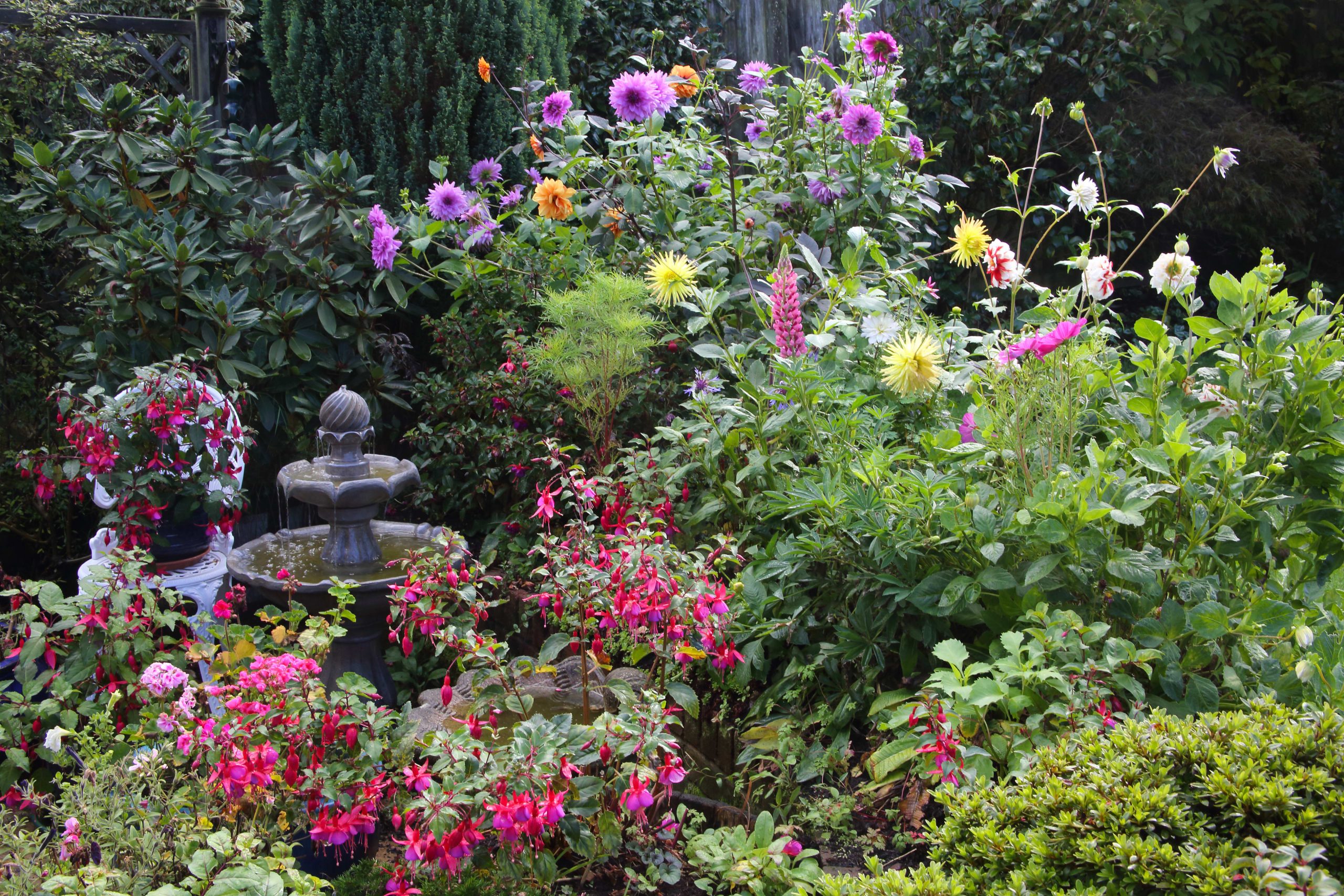 What Kind of Flowers to Put under Bird Feeder