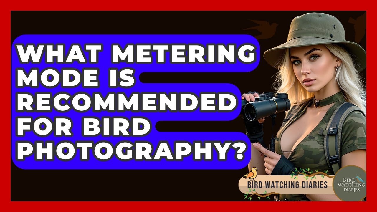 What Metering Mode to Use for Bird Photography