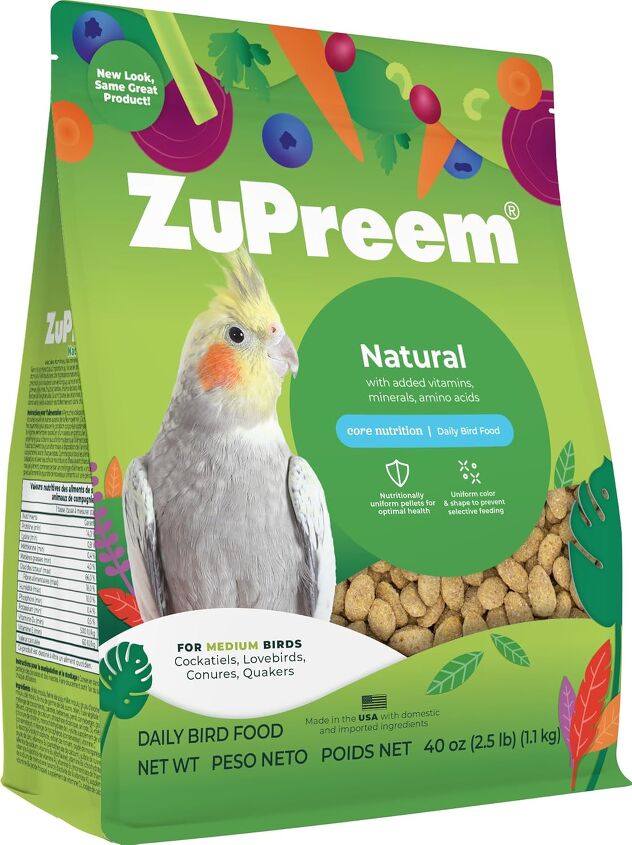 What People Food Can I Give My Pet Bird