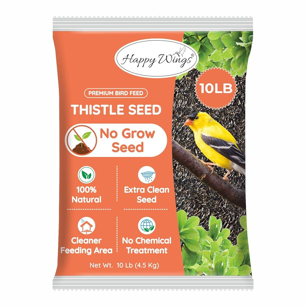 What Seed for Thistle Bird Feeder