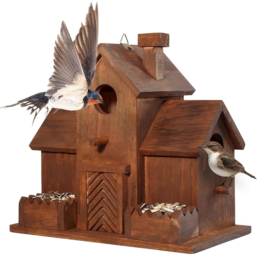 What Shoes Open the Hole in a Bird Feeder