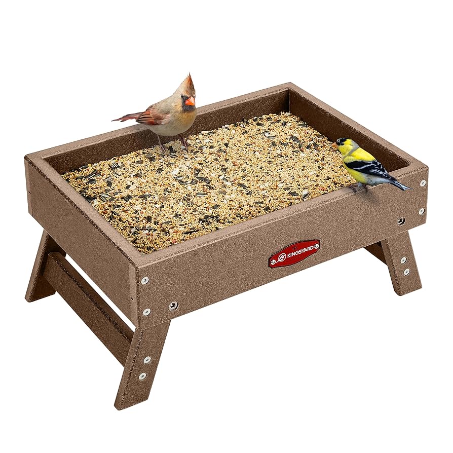 What Size Screen for Platform Bird Feeder