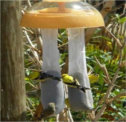 What Size Slinky Keeps Birds from Getting to Bird Feeder