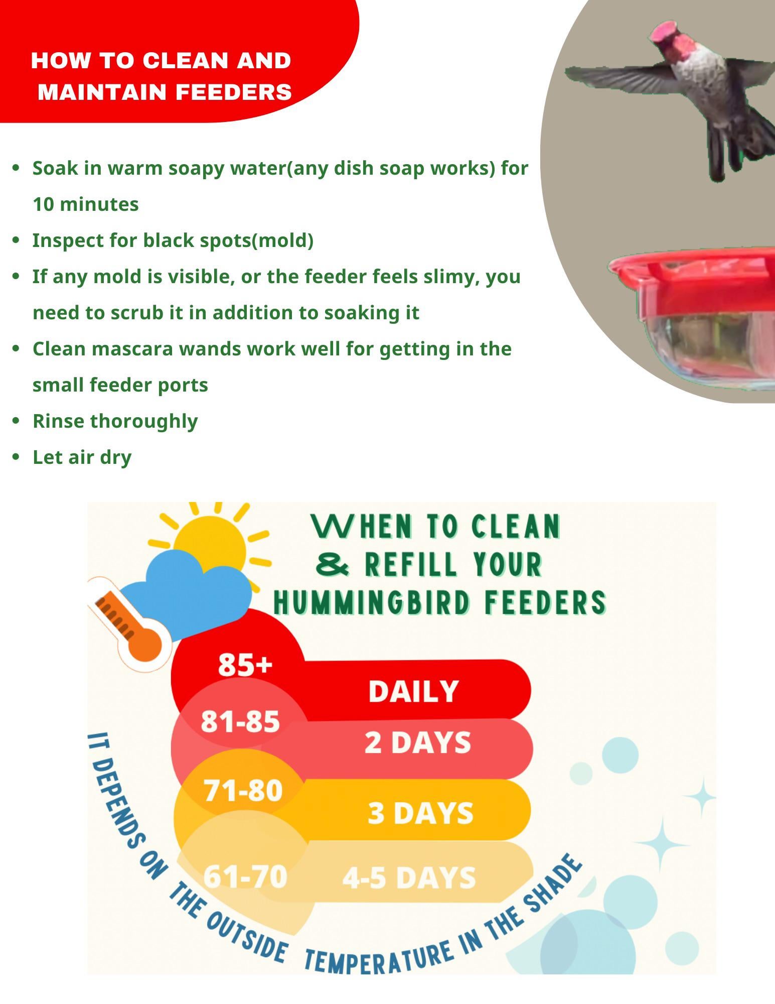 What to Clean Mold in Bird Feeder