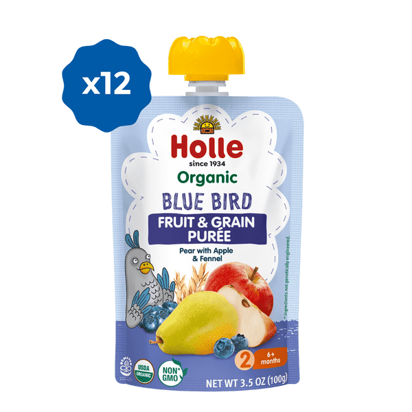 What to Feed a Baby Blue Bird