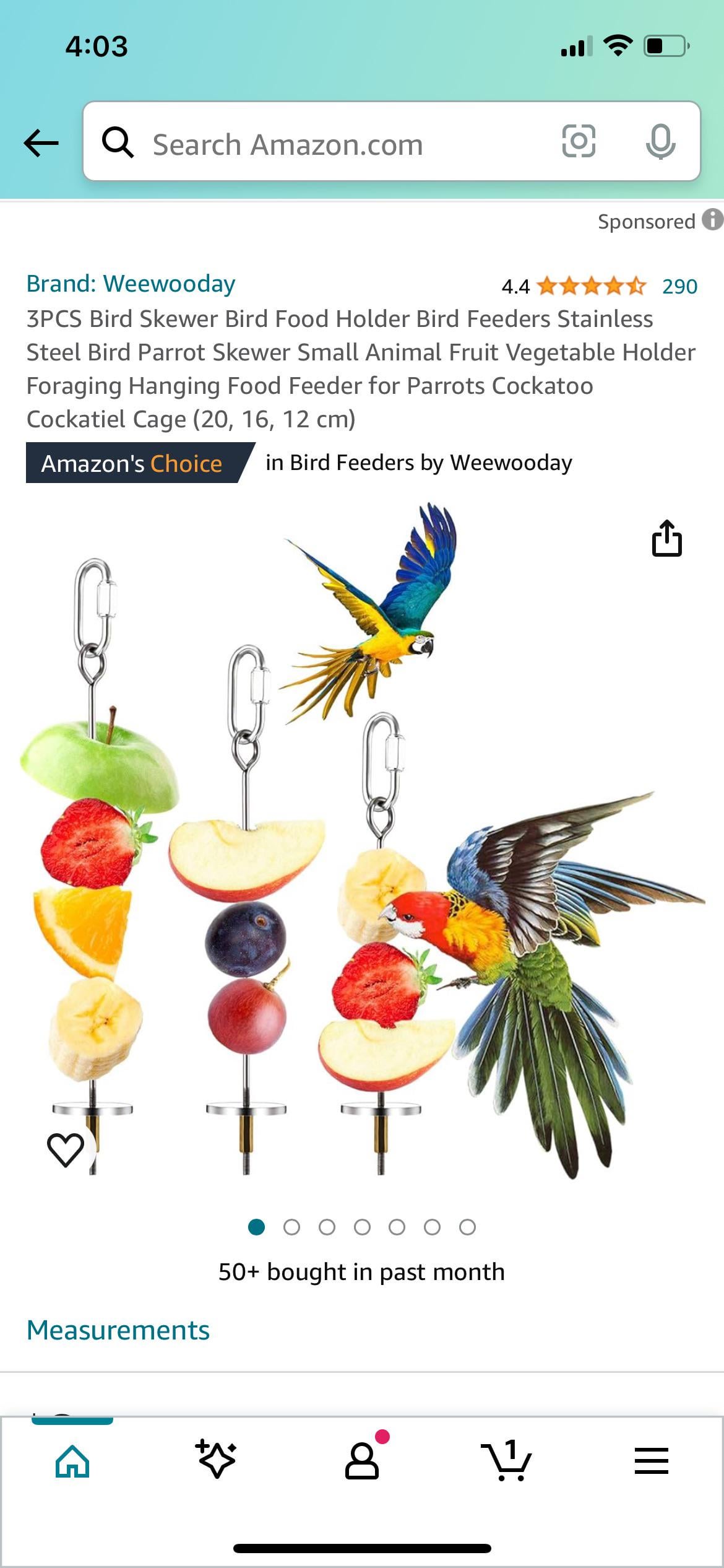 What to Feed a Rescue Bird