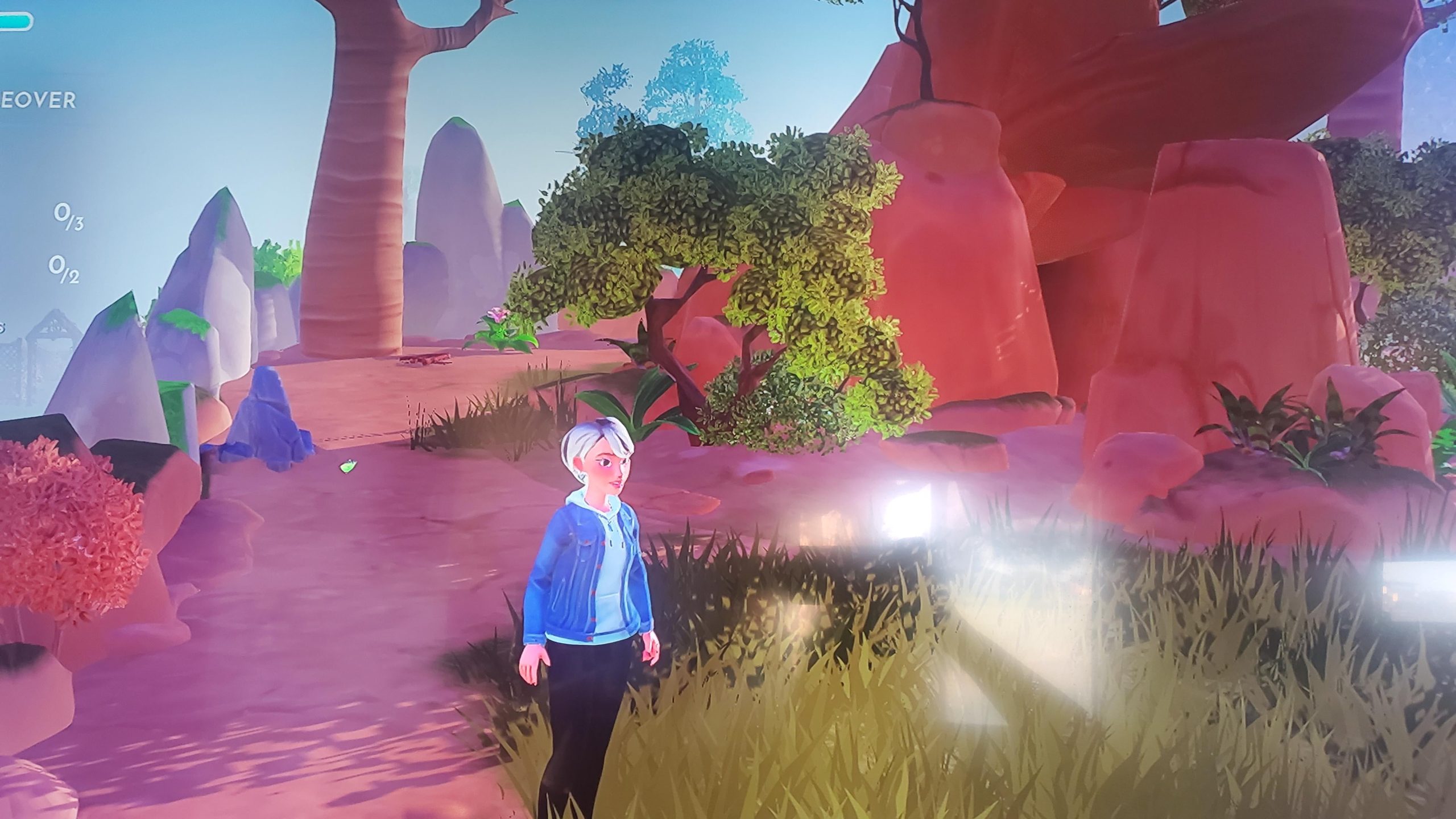 What to Feed Birds in Forgotten Lands Dreamlight Valley