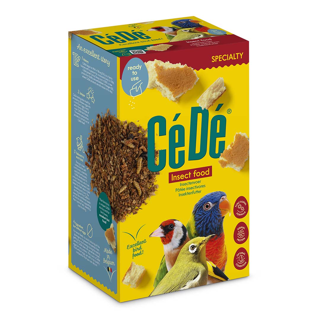 What to Feed Birds That Eat Insects