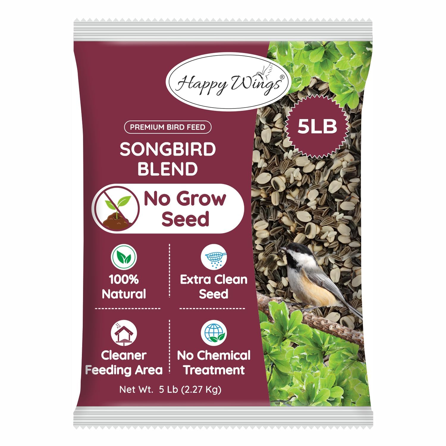 What to Feed Stray Birds