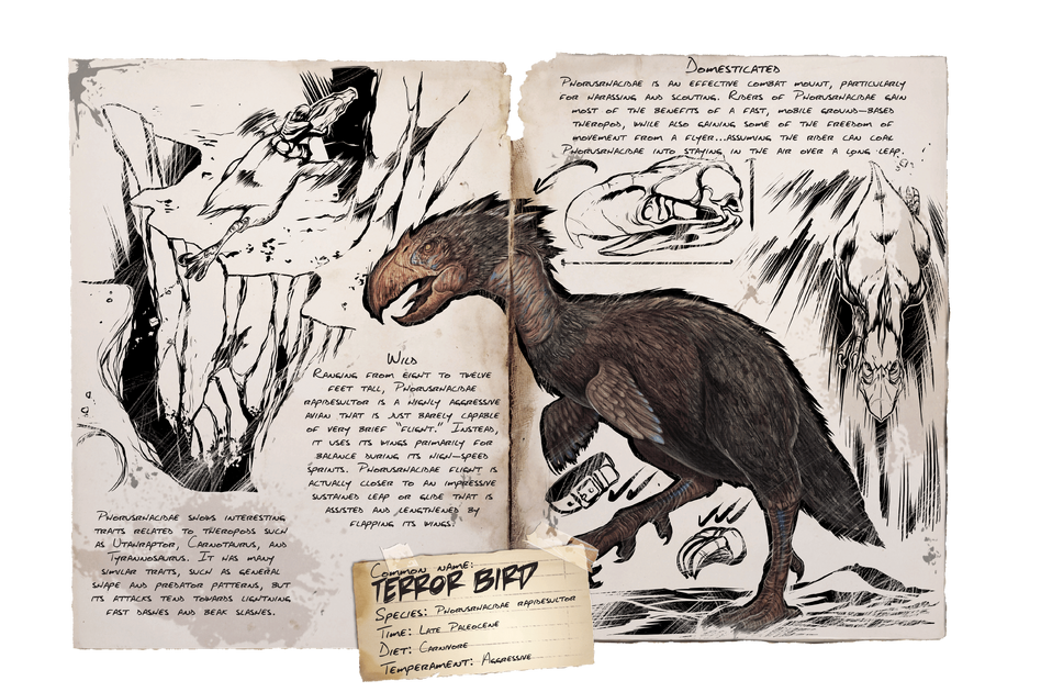 What to Feed Terror Bird Ark