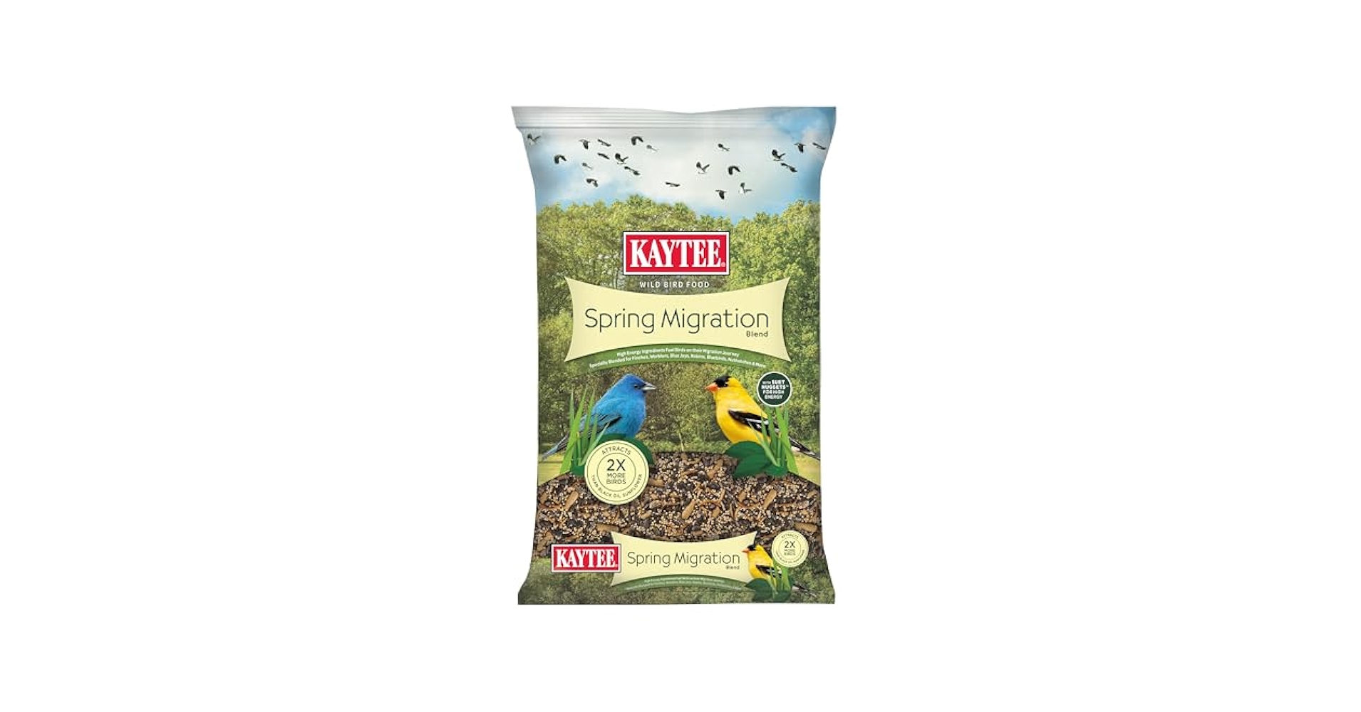 What to Feed Wild Birds in Spring