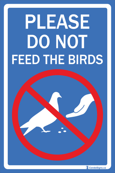 What to Not Feed Birds