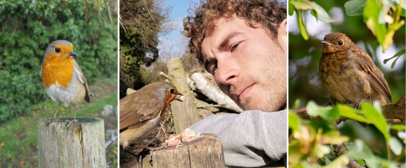 What'S a Bird Watcher