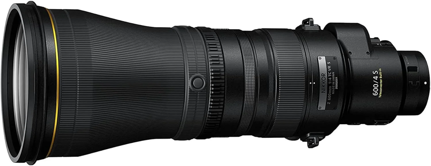 What'S the Best Lens for Bird Photography