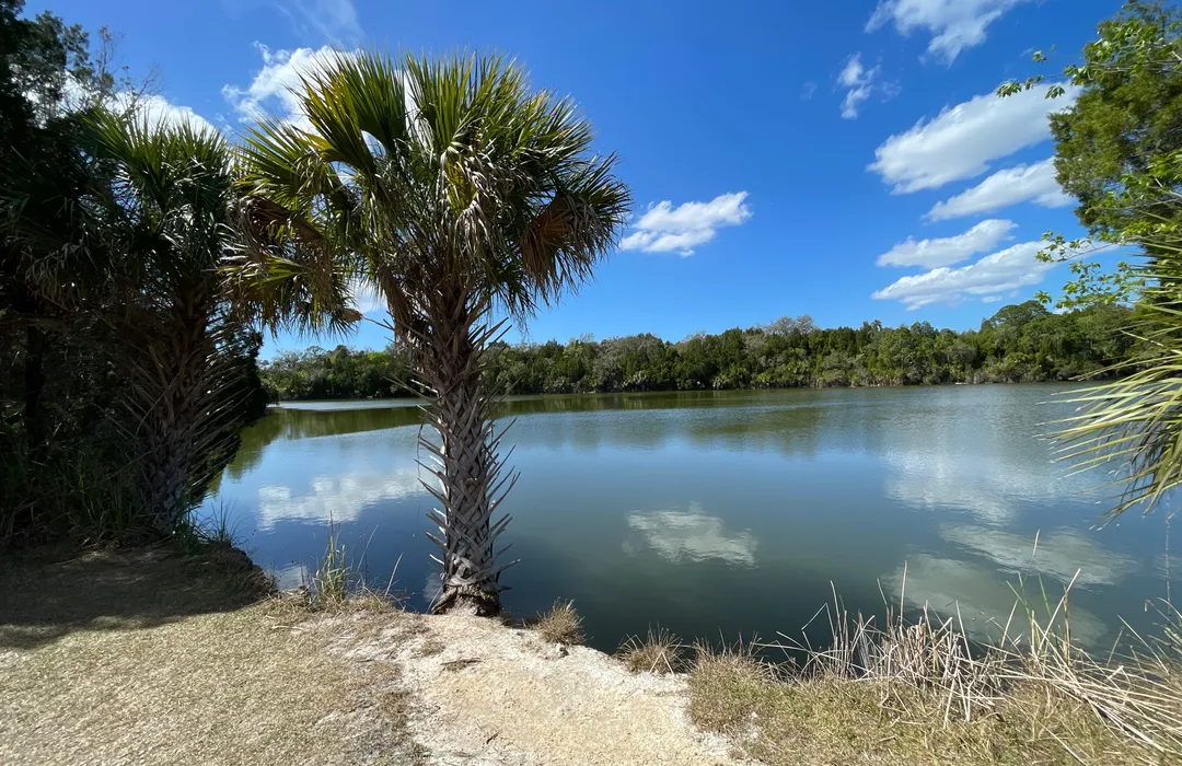 Where are the Bird Watching Spots in Summer South Florida