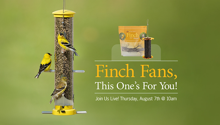 Where Can I Feed Birds near Me