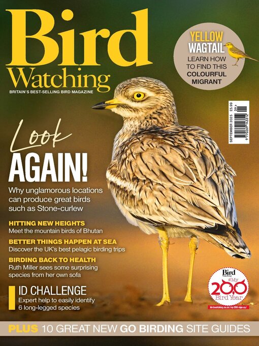Where Can I Go Bird Watching