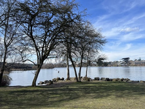 Where Can I Go for Bird Watching around Seattle