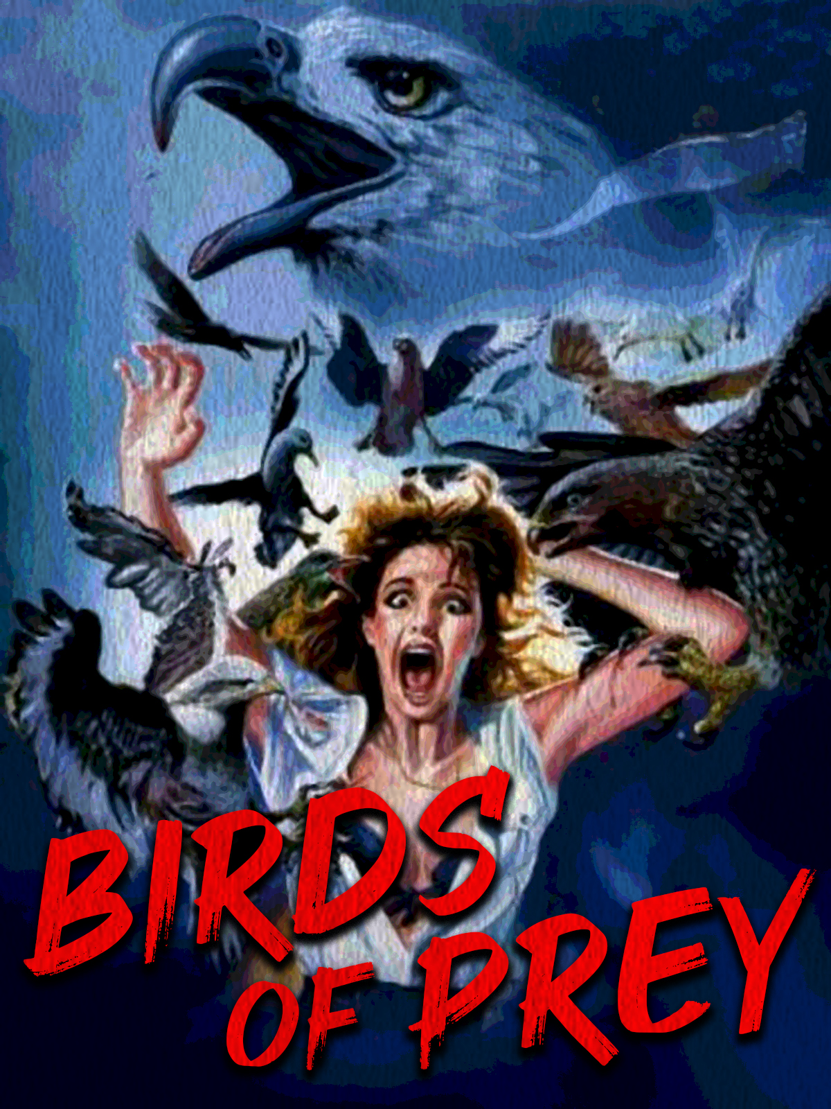 Where Can I Watch Birds of Prey Free