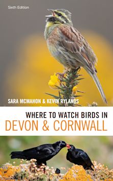 Where Can You Watch Birds