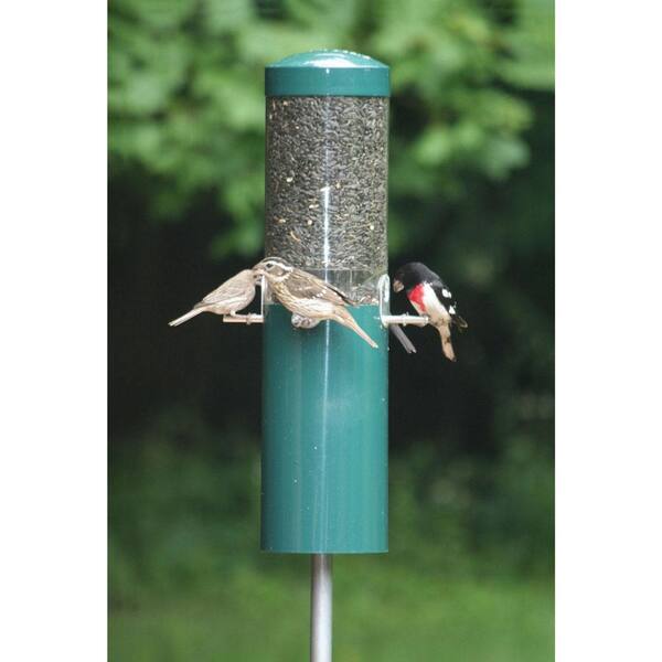 Where to Buy a Bird Feeder near Me