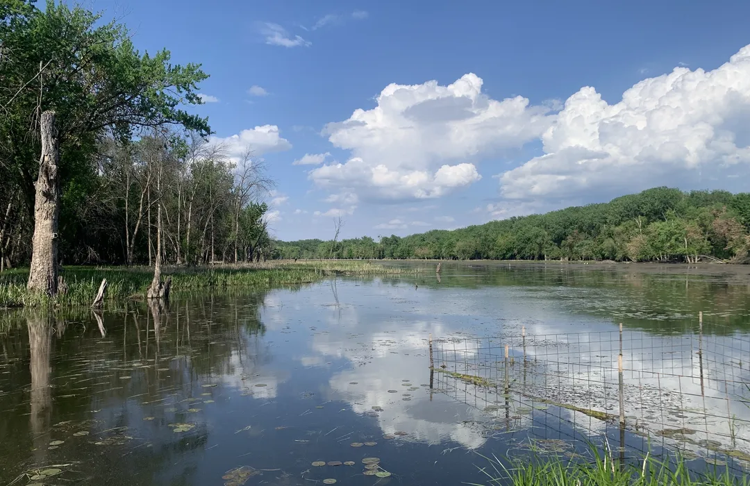 Where to Go Bird Watching in Minneapolis