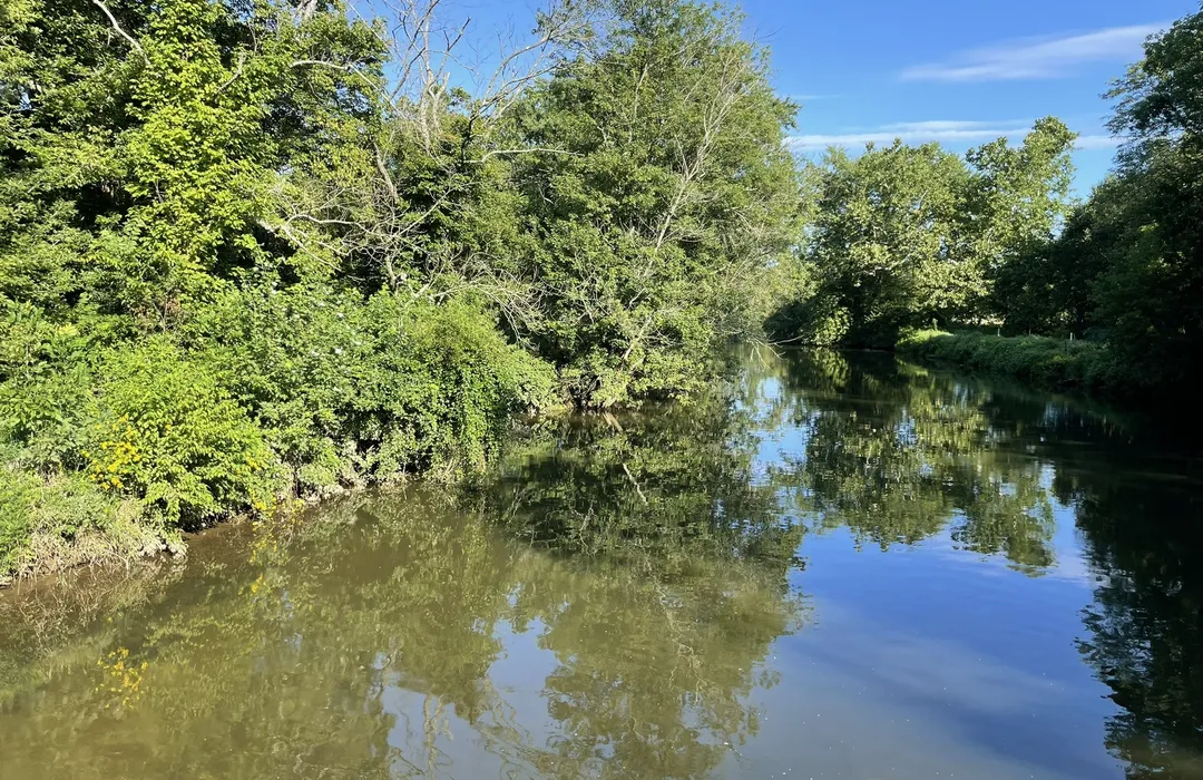 Where to Go Bird Watching near West Chester