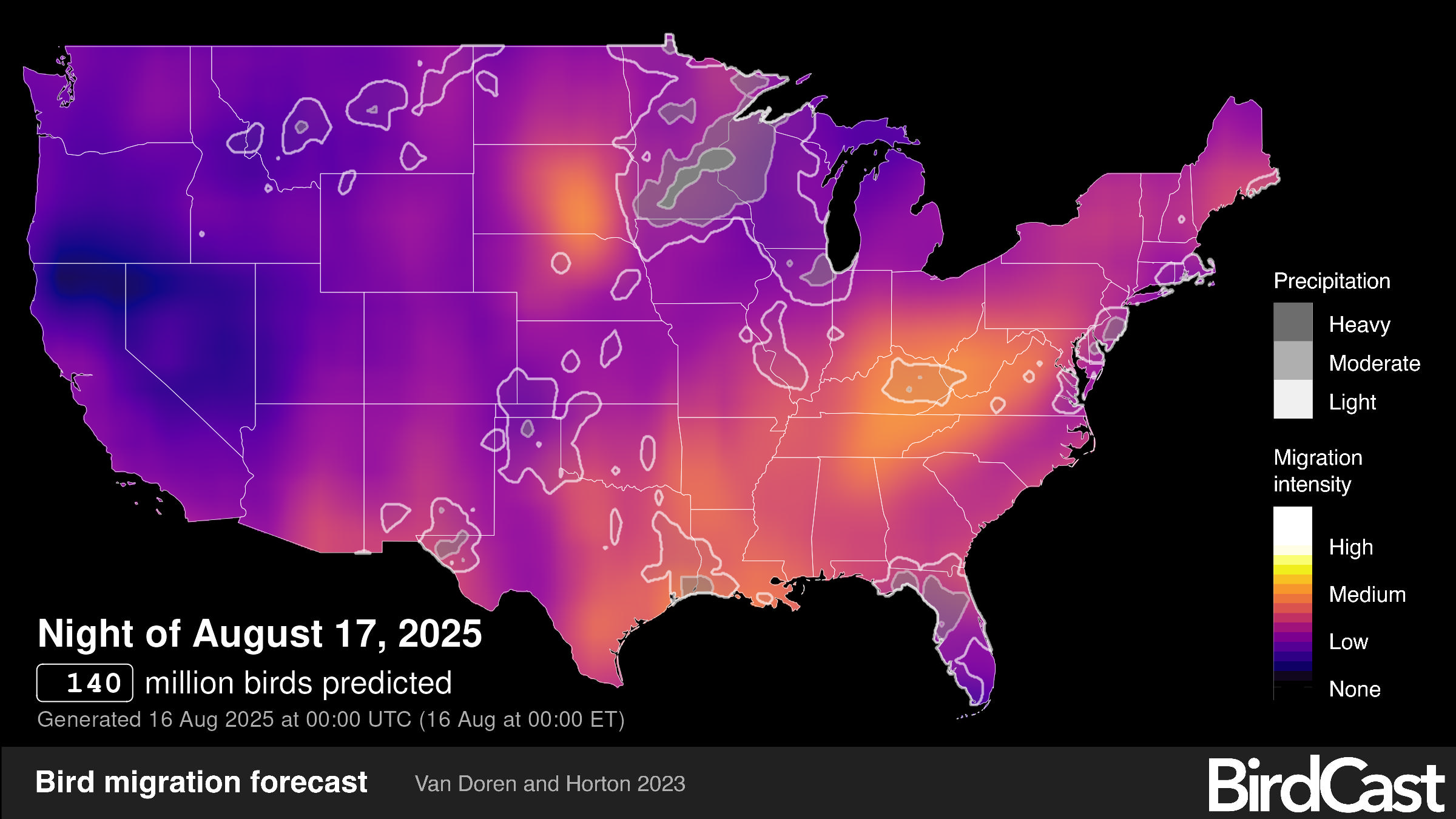 Where to Watch Bird Migration