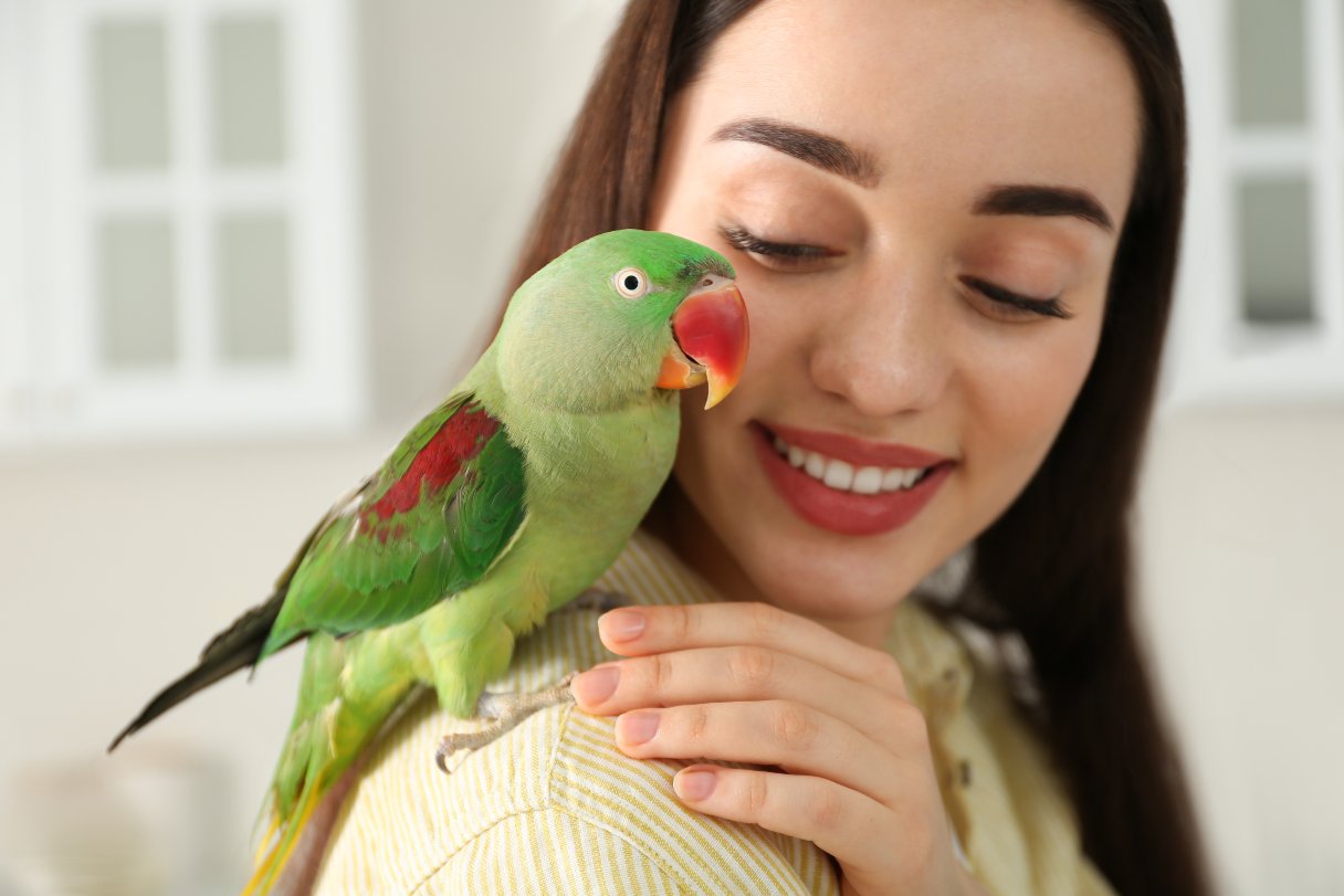 Which Birds are Kept As Pets