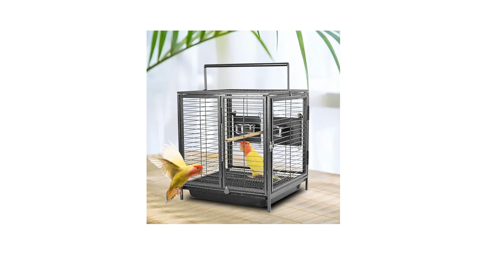 Who Else Handles Bird Cages Other Than Pet Stores