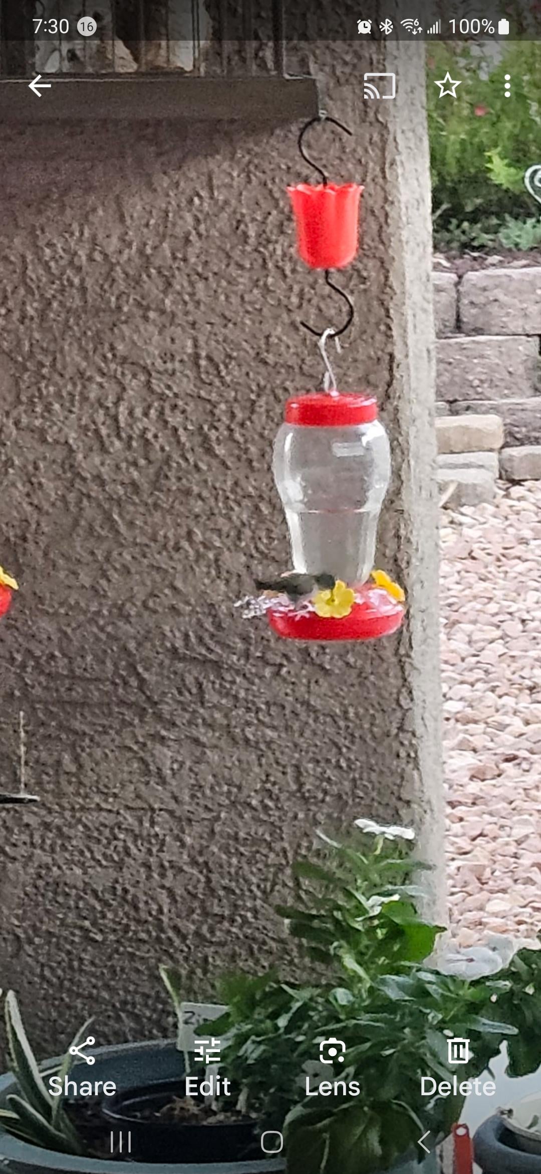 Why Does My Humming Bird Feeder Leak