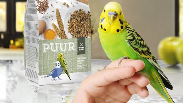 Why is Hemp Seed Feed to Birds