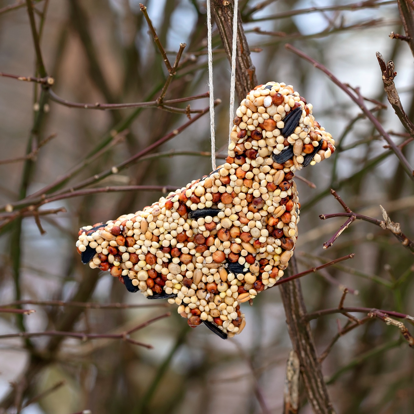 Will.Kids Buy Bird Feeder Ornaments