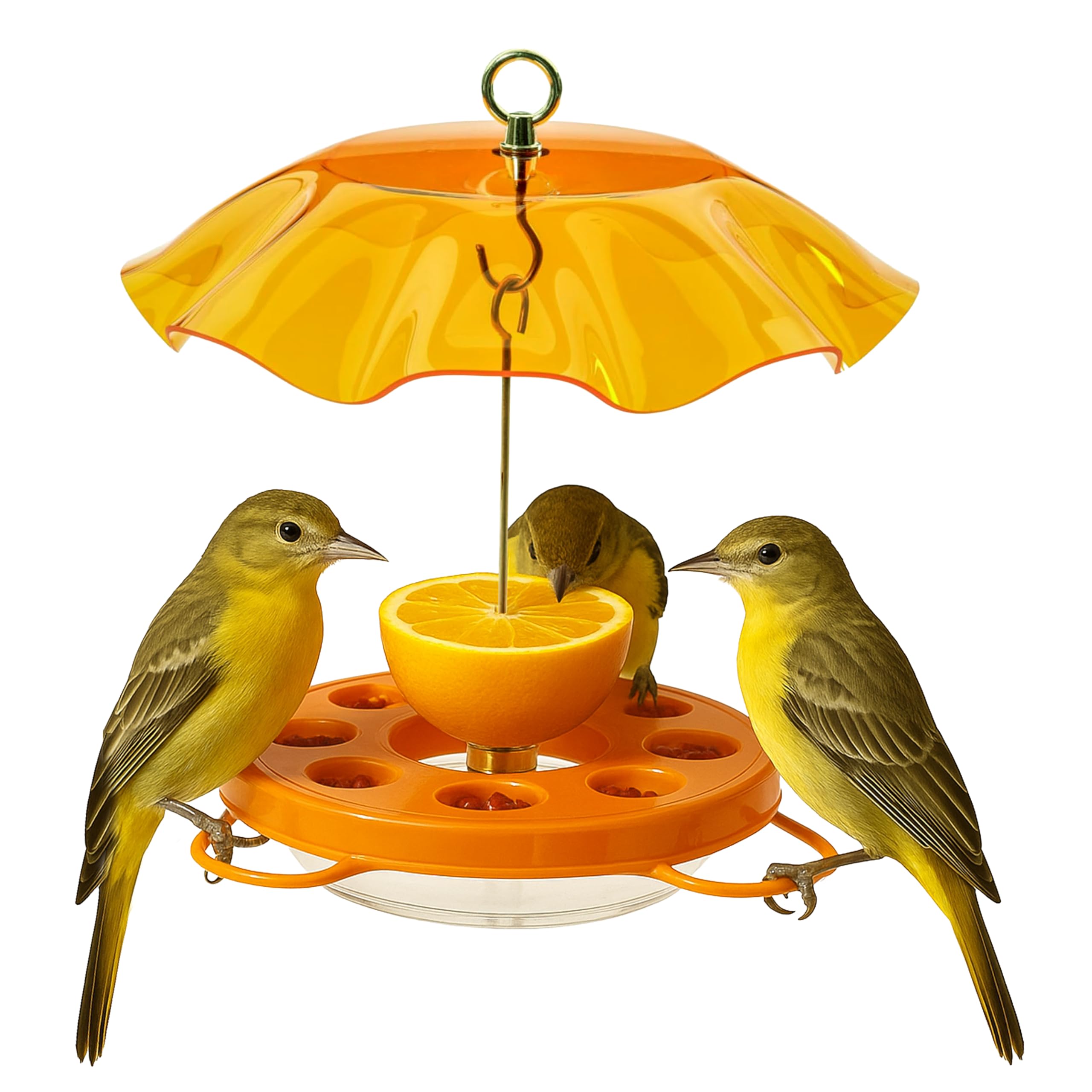 Would Humming Bird Feeder Work for Oriole