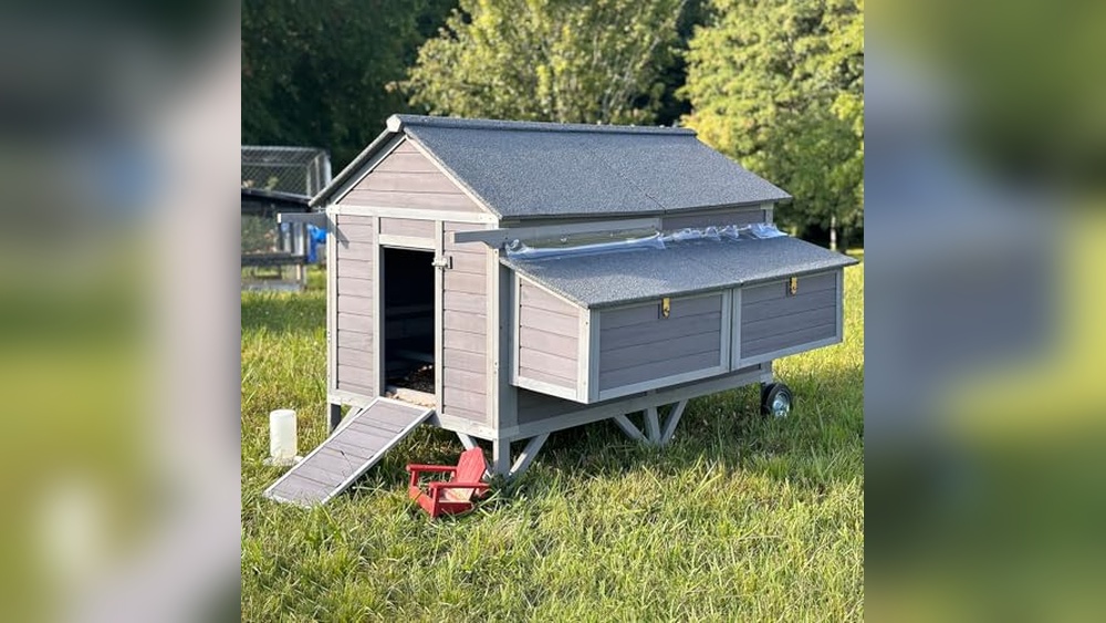 12 Bird Chicken Coop