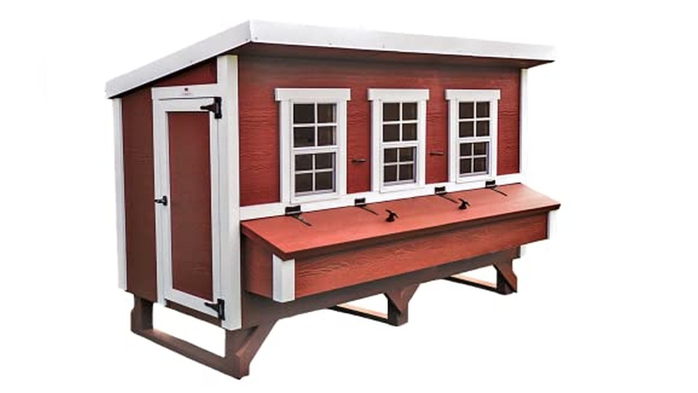 20 Bird Chicken Coop