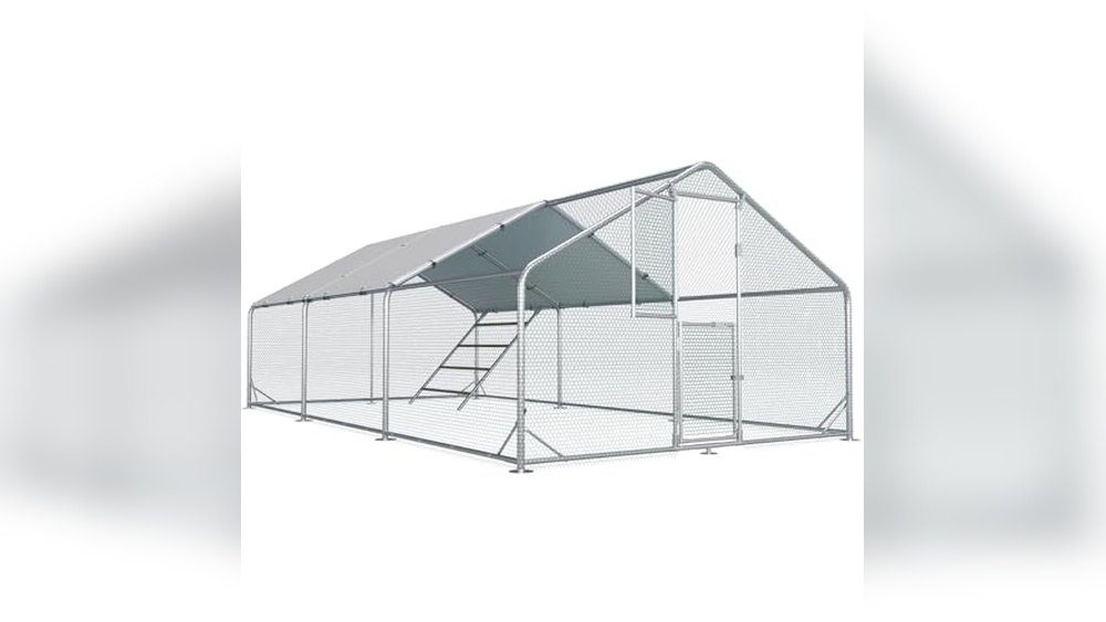 30 Bird Chicken Coop
