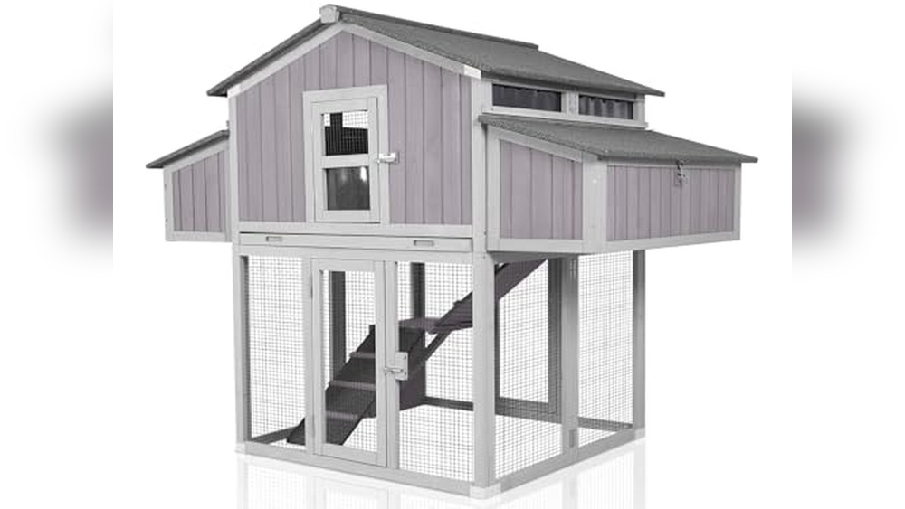 4 6 Bird Chicken Coop