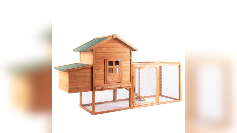 4 Bird Chicken Coop