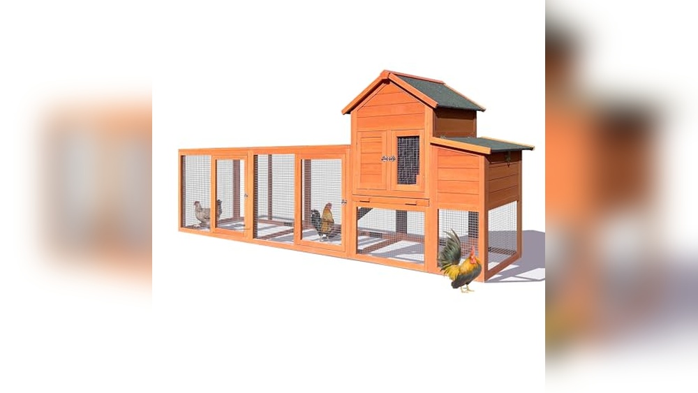 6 Bird Chicken Coop
