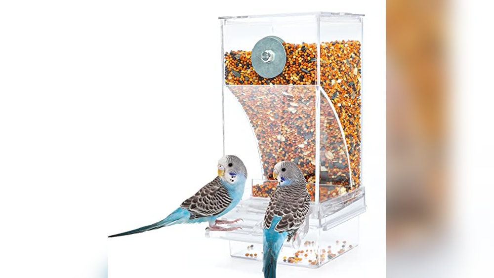 Automatic Bird Food Dispenser