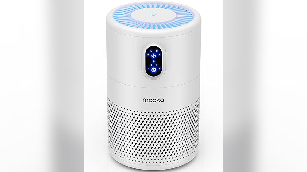 Best Air Purifier for Bird Dander